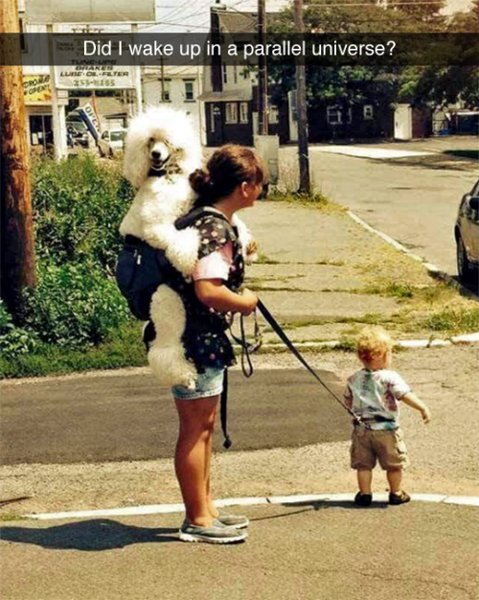 dog-baby-walk.jpg