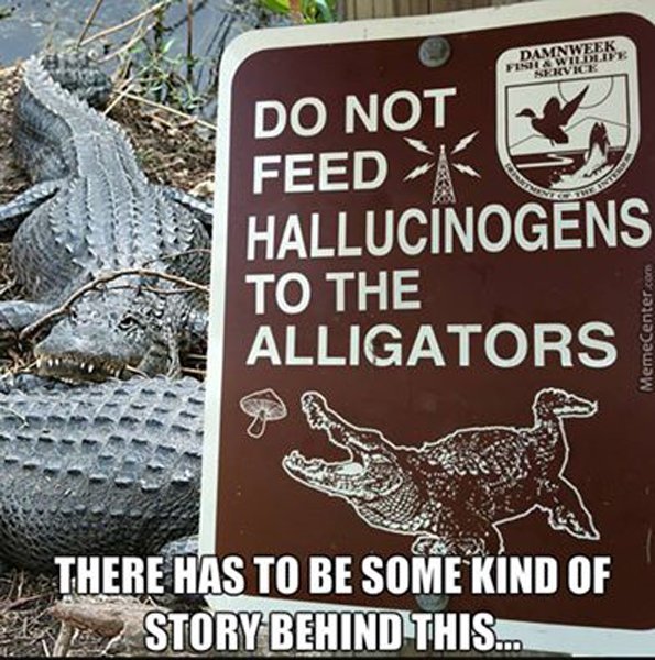 alligator-shrooms.jpg