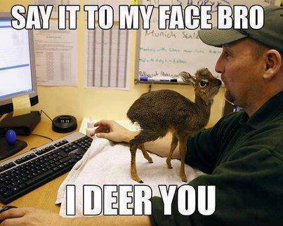 sayittomyface-deer.jpg