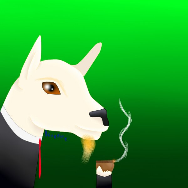 Goat thing LO EDITION.jpg