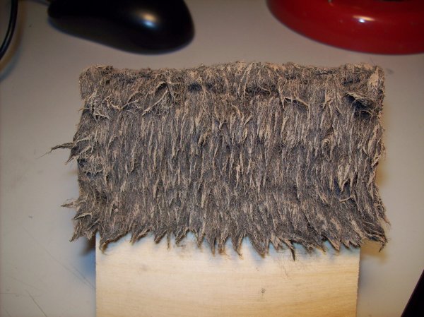 100_4155.JPG 100_4155.JPG