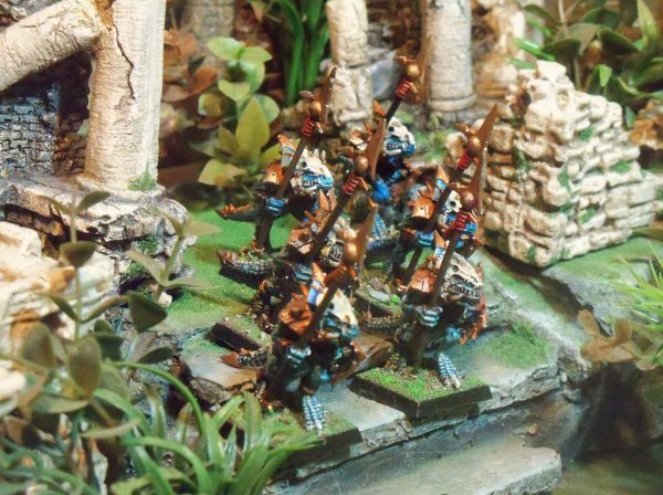 dec 2017 lizardmen 004.JPG