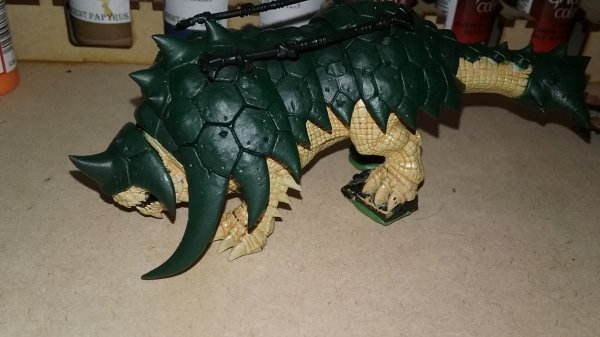 20161231_103858.jpg
