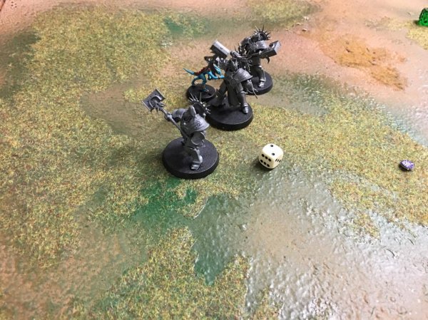 15878606_10207975969413925_1510258363_o.jpg 15878606_10207975969413925_1510258363_o.jpg