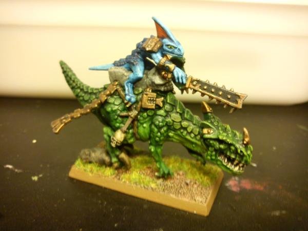 166242_sm-Cold%20One,%20Lizardmen,%20Skinks.jpg
