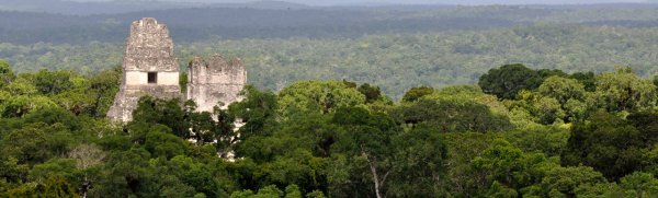 Tikal_temples_view.jpg