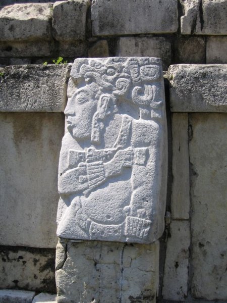 Palenque captive 3.jpg