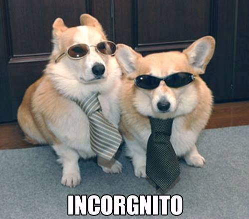 incorgnito.jpg