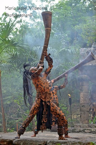 xcaret trumpeter.jpg