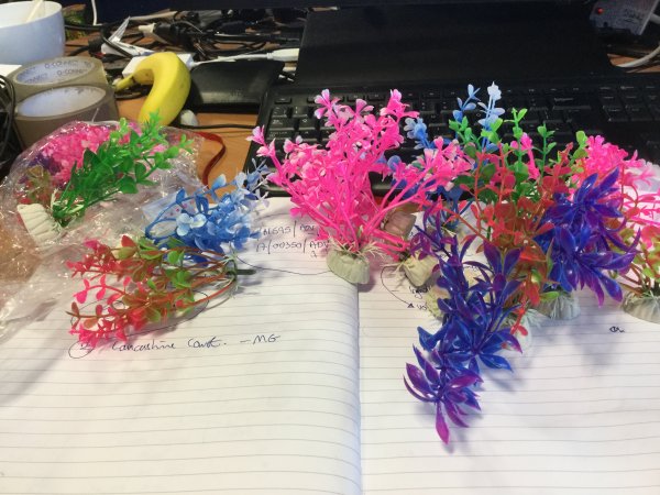 IMG_3637.JPG IMG_3637.JPG