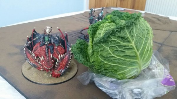 CjOPdpcWYAAg63M.jpg CjOPdpcWYAAg63M.jpg