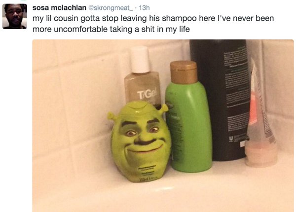 man_file_1065224_shrek-shampoo.jpg