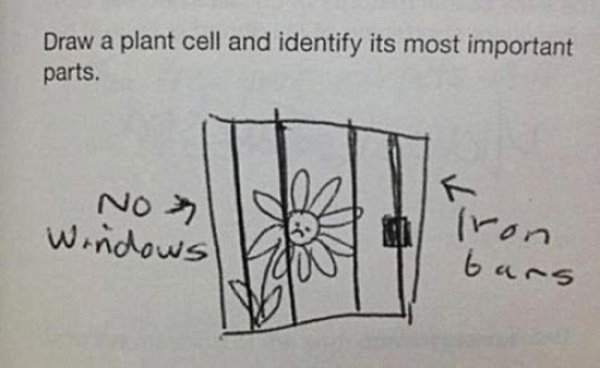 funny-test-answers16.jpg