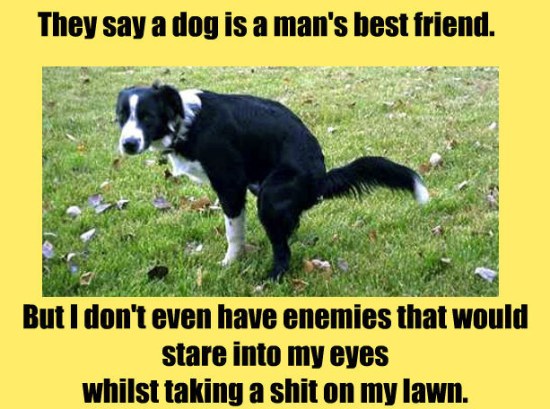 Funny-Memes-Dog-Mans-best-friend.jpg