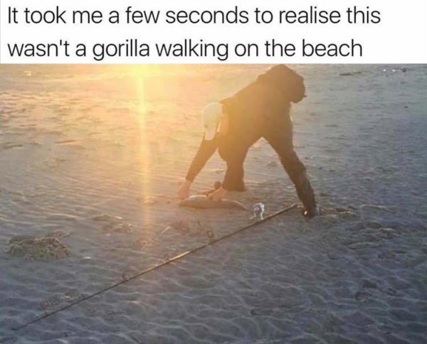 gorilla.jpg