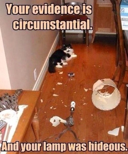 man_file_1065849_cat-evidence-circumstantial.jpg