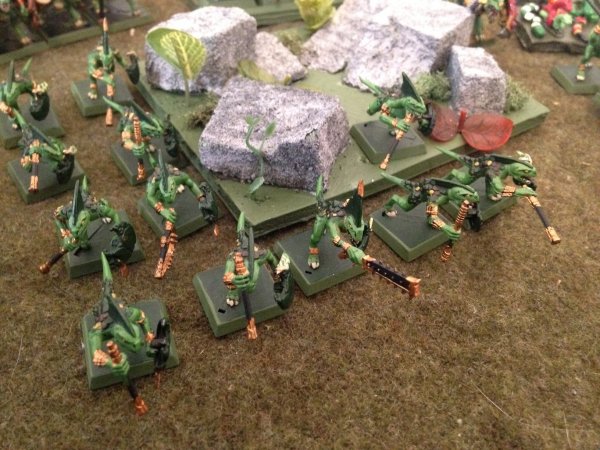 warden201703_skinks 02 dark green.jpg