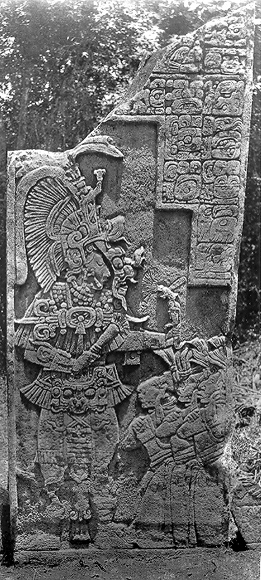 yaxchillan stelae 11.jpg