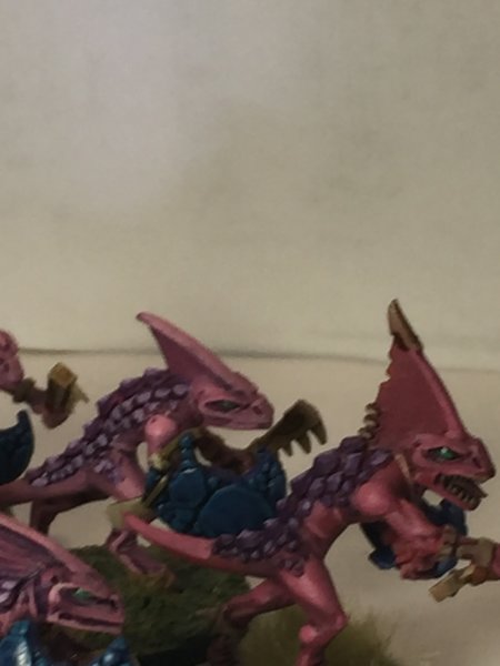 Pink skinks 6.JPG