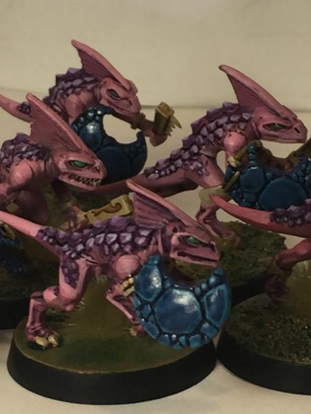 Pink skinks 5.JPG