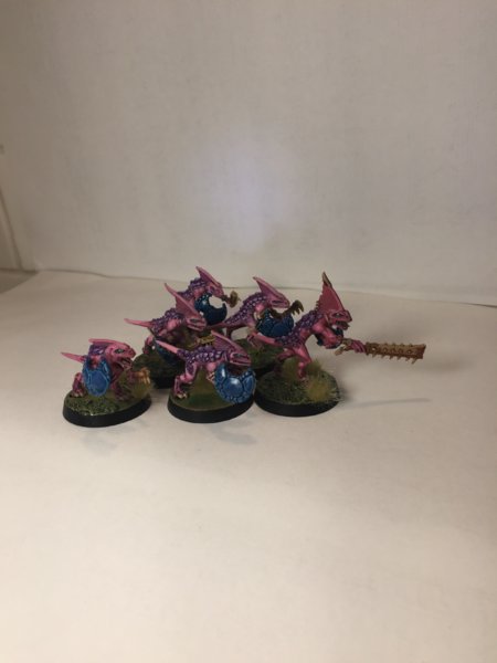 Pink skinks 4.JPG