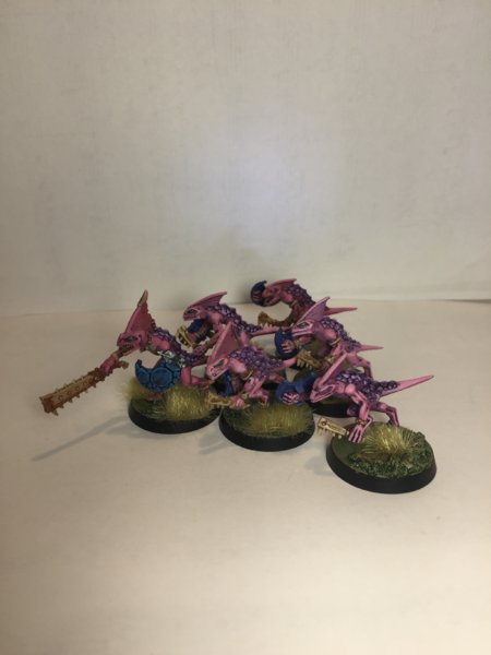 Pink skinks 3.JPG