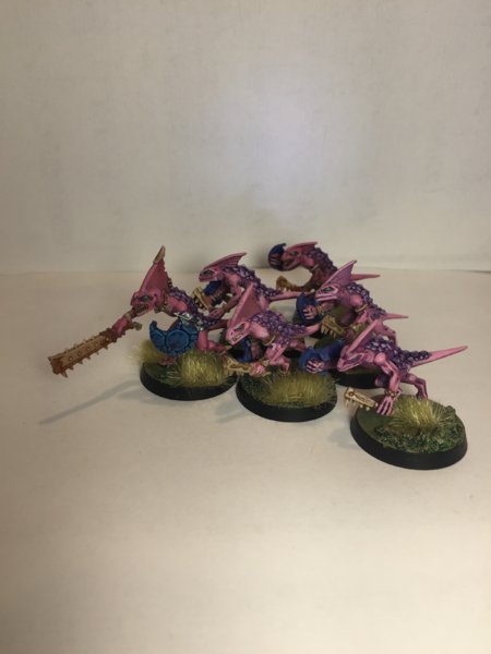 Pink skinks 2.JPG