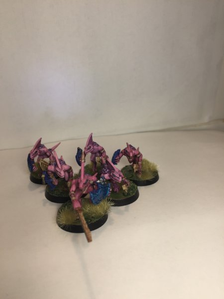 Pink skinks 1.JPG