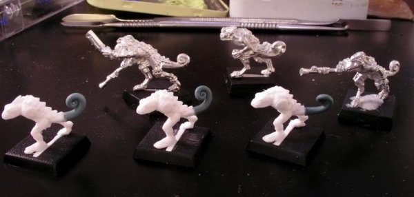 Chameleonconversions003.jpg Chameleonconversions003.jpg