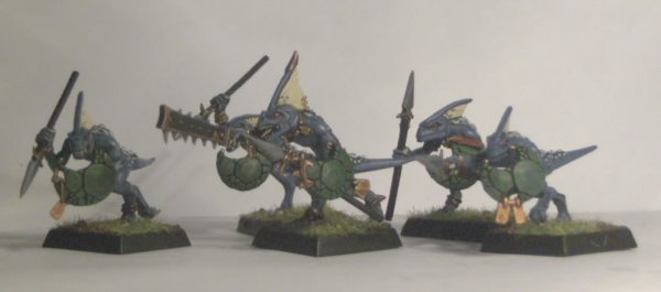 Skinks-1.jpg