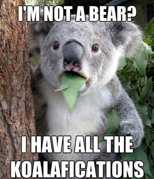 18ec4f4f0048ec6a1bf139cf16504288_004-4-koala-conundrum-1646276_800_0.jpg 18ec4f4f0048ec6a1bf139cf16504288_004-4-koala-conundrum-1646276_800_0.jpg