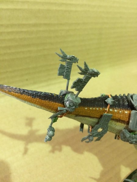 IMG_3636.JPG IMG_3636.JPG