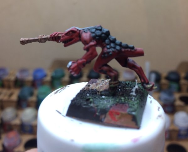 IMG_3641.JPG IMG_3641.JPG