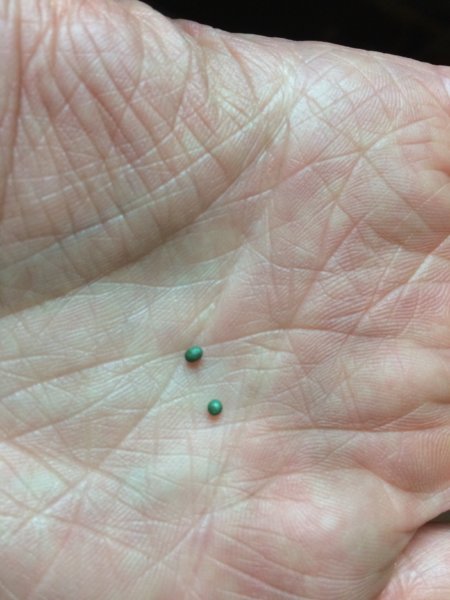 IMG_3642.JPG IMG_3642.JPG