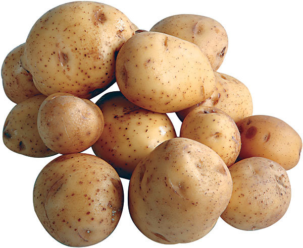 potato-yukon-gold.jpg