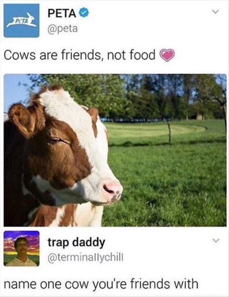 cows.jpg