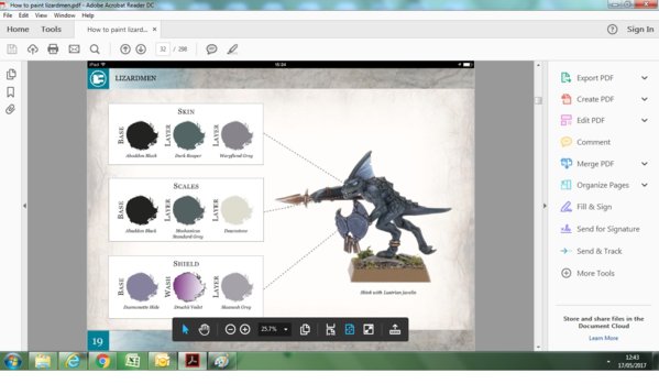 skink3.jpg skink3.jpg