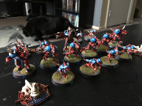 rokanos_bloodbowl lizardmen team.jpg