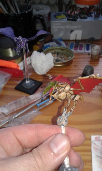 20170530_191705.jpg 20170530_191705.jpg