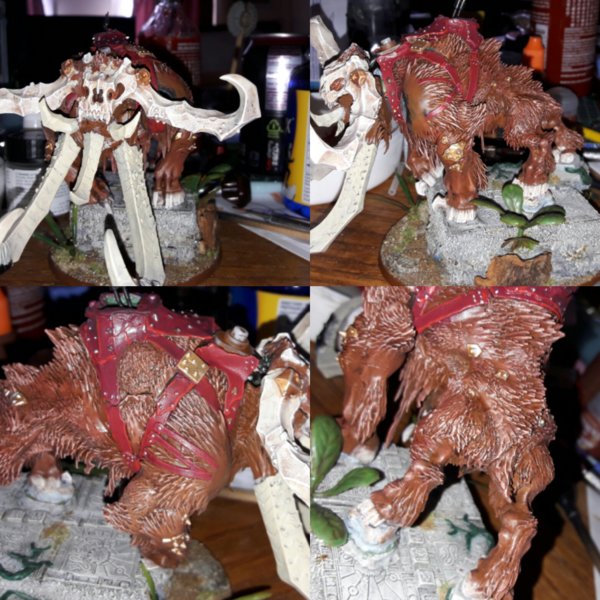 IMG_20170606_133132.jpg IMG_20170606_133132.jpg