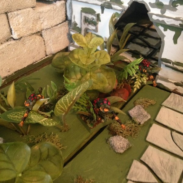 warden201705_completed chameleon skinks 03.jpg