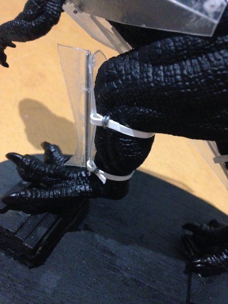 image.jpeg image.jpeg