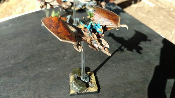 IMG_20170702_171403385.jpg IMG_20170702_171403385.jpg