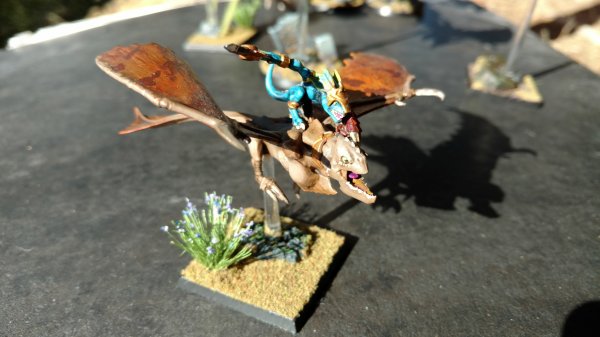 IMG_20170702_171427778.jpg IMG_20170702_171427778.jpg