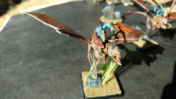 IMG_20170702_171438557.jpg IMG_20170702_171438557.jpg