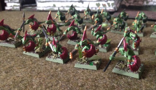 warden201708_skinks 02 red.jpg