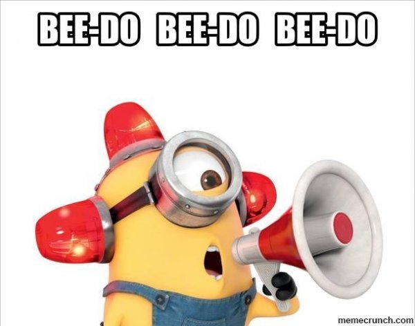 bee-do.jpg