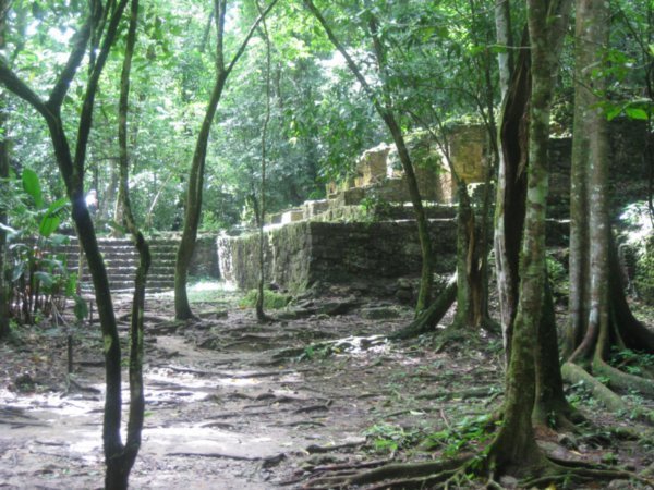 2564448-24-Palenque--Ruins-of-dwellings-for-commoners-0.jpg