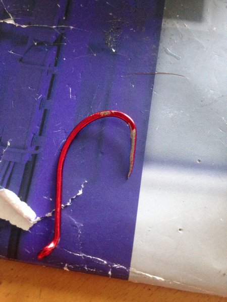 image.jpeg image.jpeg