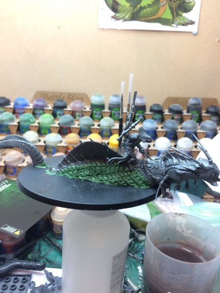 F9D0318E-A64A-40E3-8429-ECC93486E766.jpeg F9D0318E-A64A-40E3-8429-ECC93486E766.jpeg